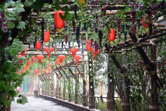 得了花痴病锻炼身体,有一种病叫花痴病