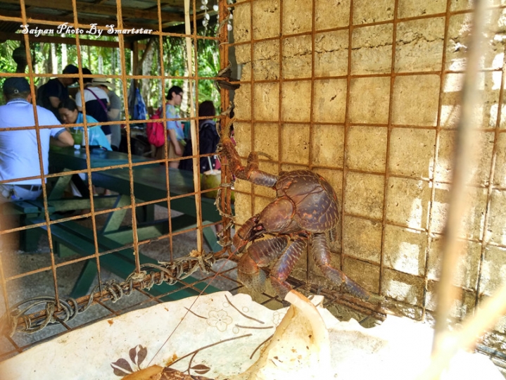 去塞班岛看海,带着小米NotePro和小蚁运动相机就足够了