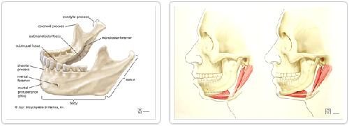 脸不对称怎么破,脸一大一小怎么矫正不对称