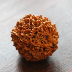 菩提是智慧的象征,菩提智慧觉悟