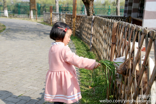 牵着小手去旅行,牵着小手去旅游