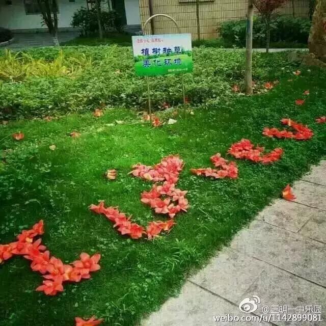 在三明学院就读好吗,在三明300分人读什么样的高中学校