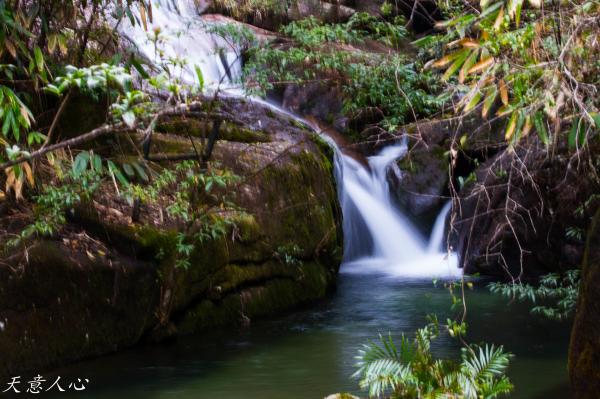 漫游武夷山之自驾游,漫游武夷记