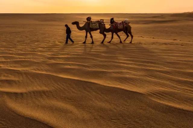 丝绸之路文化之旅,丝绸之路探秘