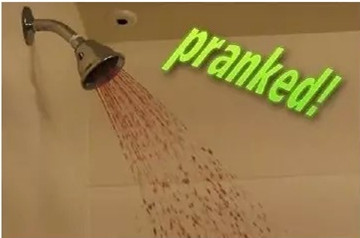 隔壁的他们愚人节竟然这样玩,吓得我瓜子都掉了...