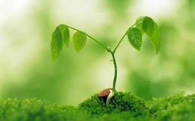 std性传染病,什么支原体感染属于性传播疾病