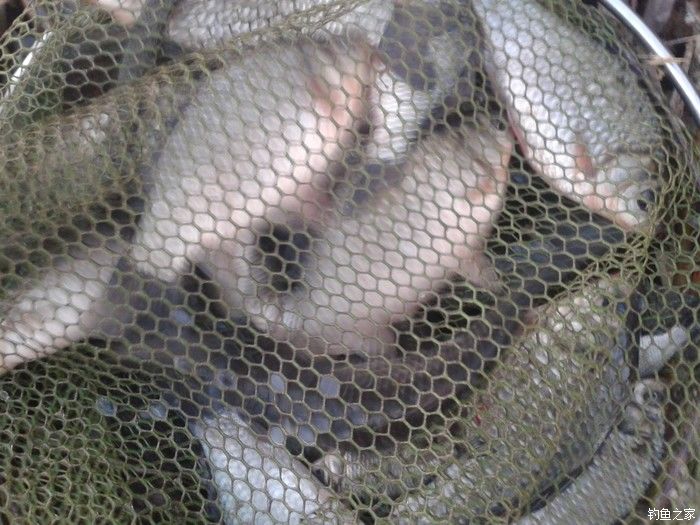 远征远征17,远征17-20