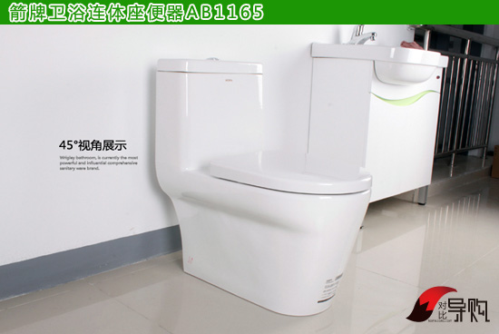 买马桶大的好还是小的好,东鹏的马桶和箭牌哪个好