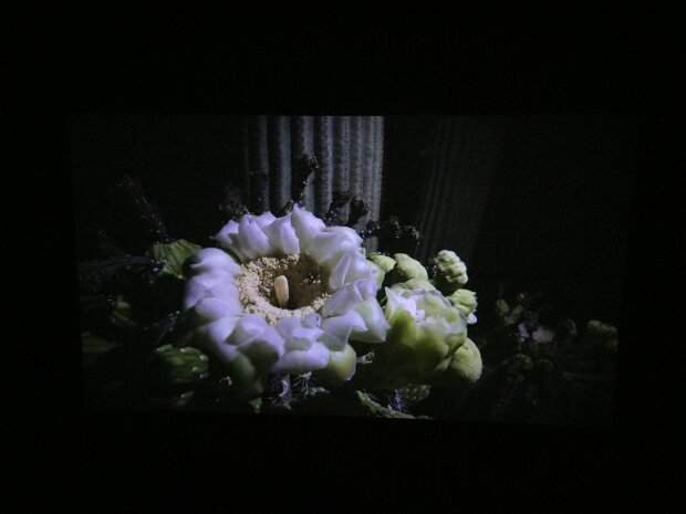 联想扭转式微型投影机p0510,微型迷你投影仪便携机联想t200