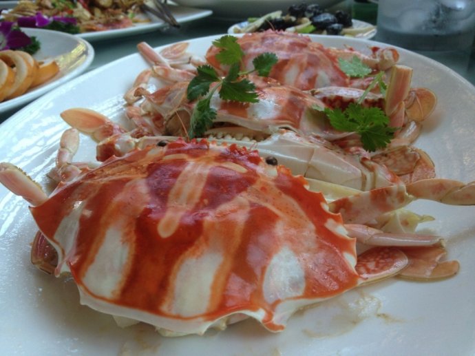 吐血编辑，三亚所有吃的都在这儿了，不吃也来瞧一瞧啦。