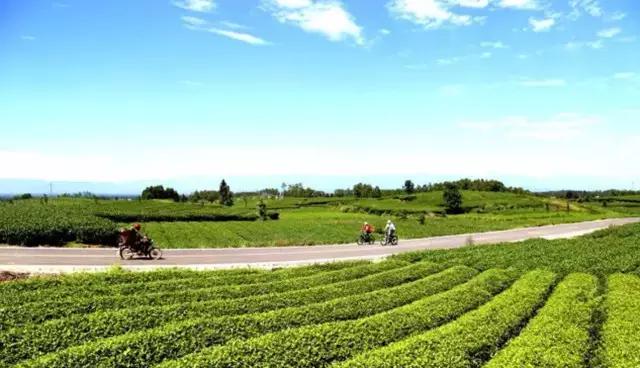 成都11月1日活动,11月9日成都活动