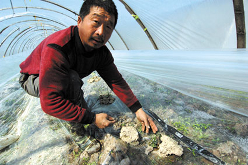 春天为什么忽冷忽热,倒春寒是什么原因引起的