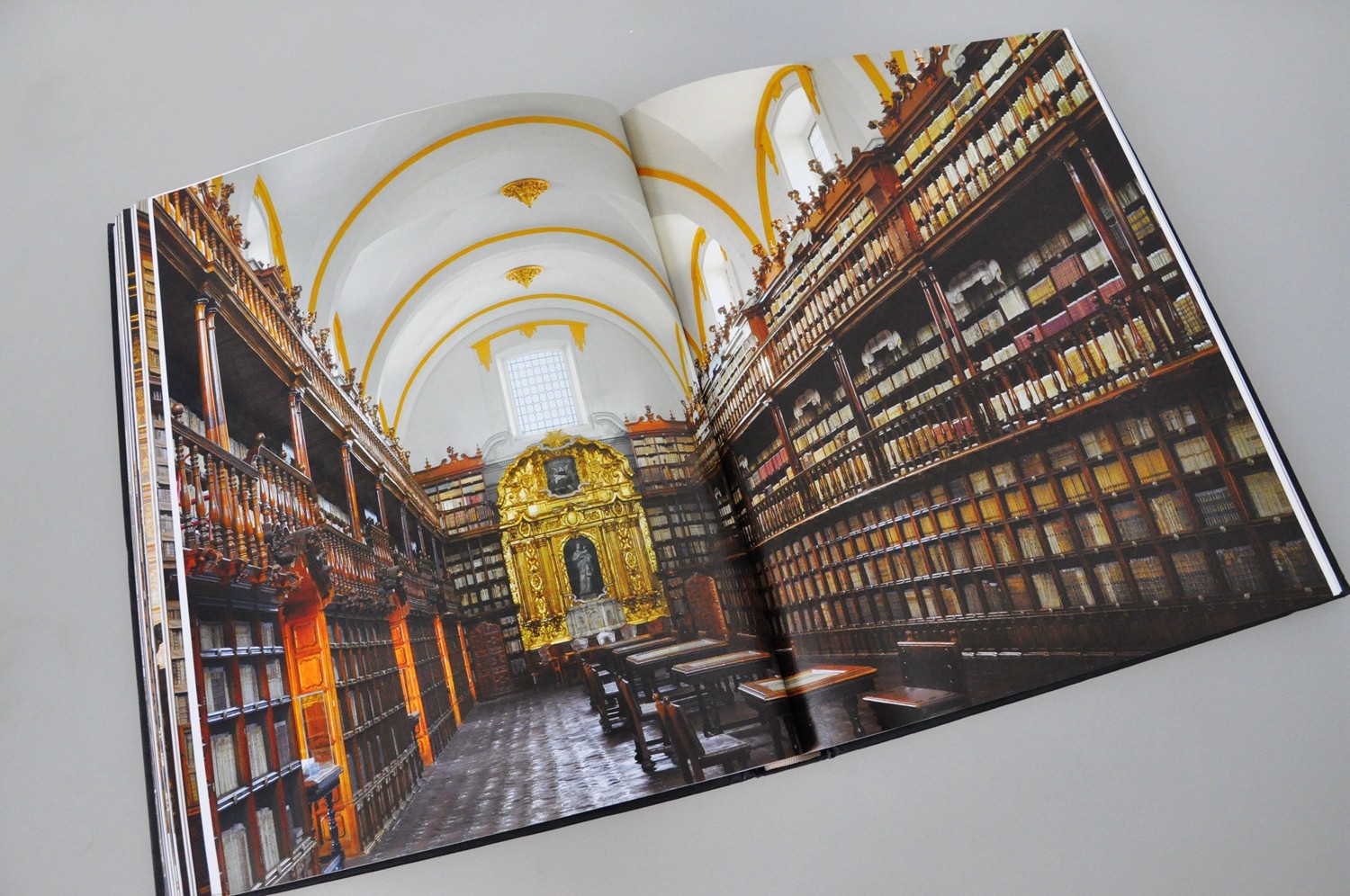 浙江人美出版社直播间,2020浙江文艺出版社新书