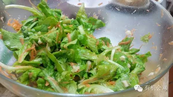 疗愈人的慧灵农场：一群很简单的人，在这里快乐、自在地生活