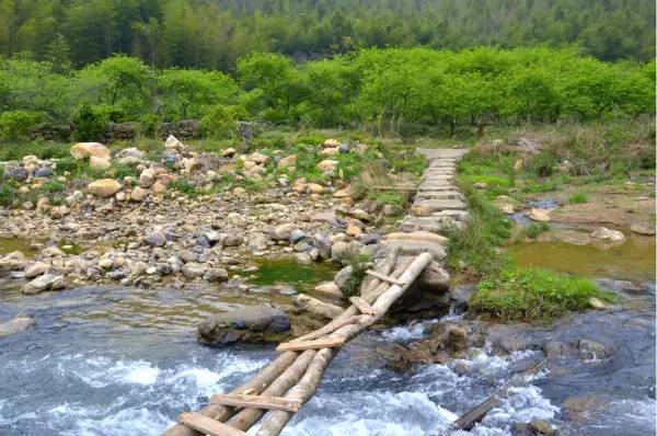 阳春三月下从化，去广东最美乡村植树、挖春笋、野炊吧！[3.12]