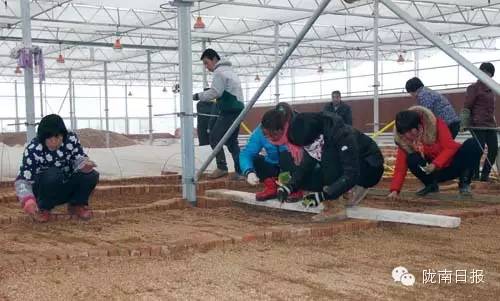 新闻资讯我县春耕春播热火朝天,春耕忙新闻