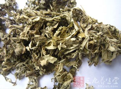 你们还把艾叶当废叶？那你们就大错特错了