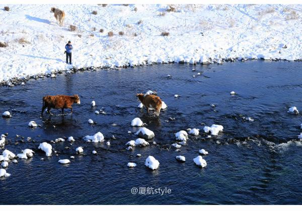 牧马少年歌曲完整版,牧马少年草原