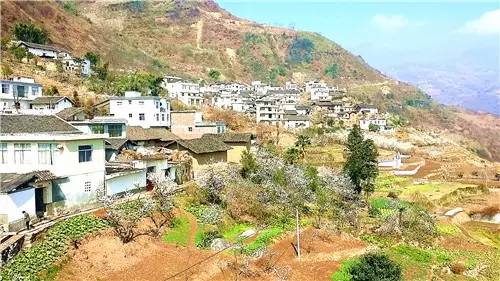 春暖花开：猴年春灿烂，樱桃花争艳，君若假日闲，关河金坪岸！