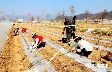 新闻资讯我县春耕春播热火朝天,春耕忙新闻