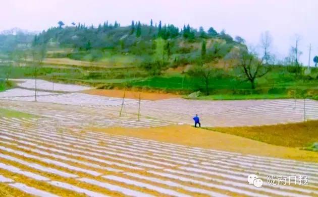 新闻资讯我县春耕春播热火朝天,春耕忙新闻