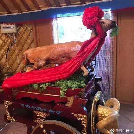 男朋友是内蒙古人,第一次送的礼物是一只羊网友笑喷:成都人只能送火锅底料了!