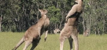 豆瓣9.7的冷门好片，送给每个热爱生命的人