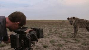 豆瓣9.7的冷门好片，送给每个热爱生命的人