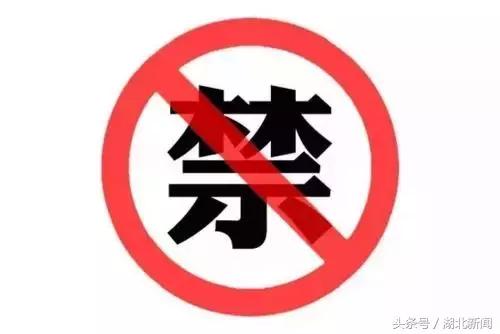 中国十大毒性最强动物,十大最强剧毒动物