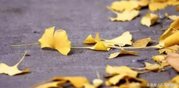 处暑养生吃鸭和鹅的功效一样吗,处暑节气的传统习俗及养生攻略