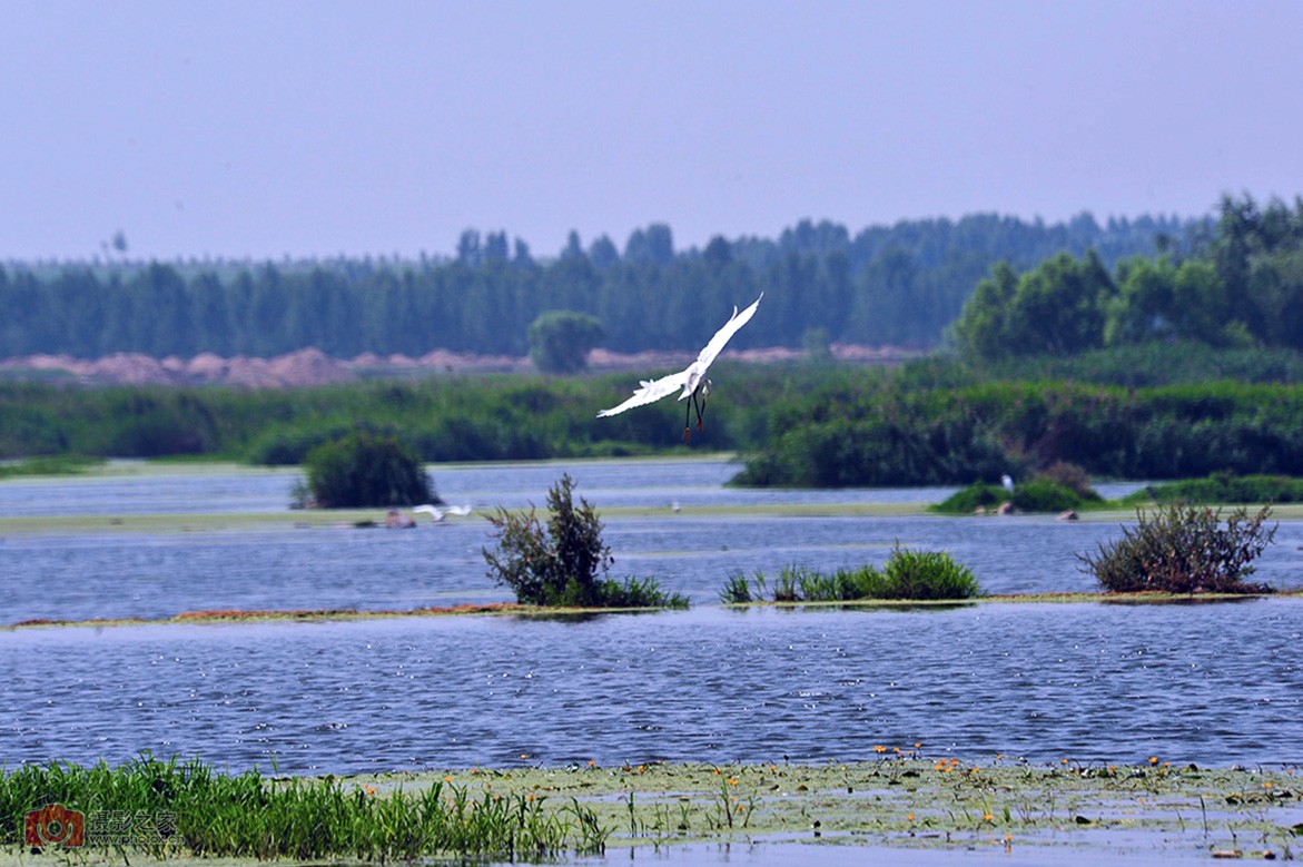 安泰科技产业园,高新区安泰