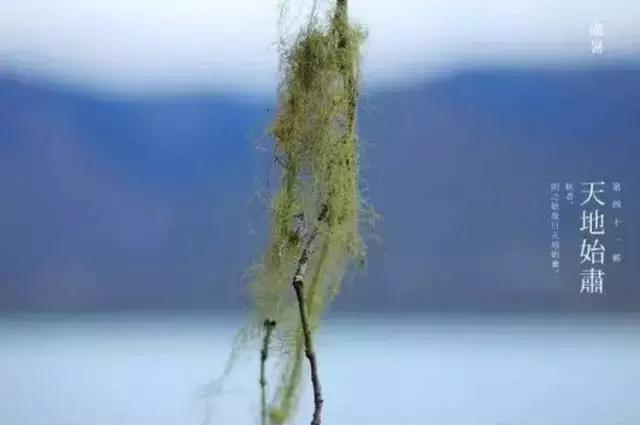 夏未央秋渐凉处暑,处暑夏未央秋意渐浓天渐凉