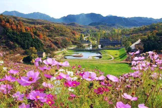 说走就走走遍全中国旅游,说走就走的旅行完整版