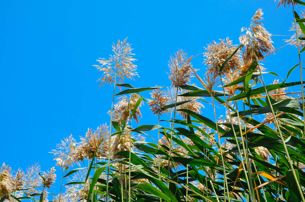 宁夏沙坡头水洞沟,宁夏水洞沟游