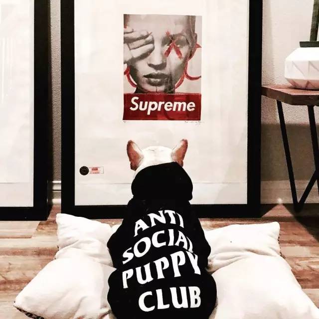 200块钱左右的礼物,200块钱礼物