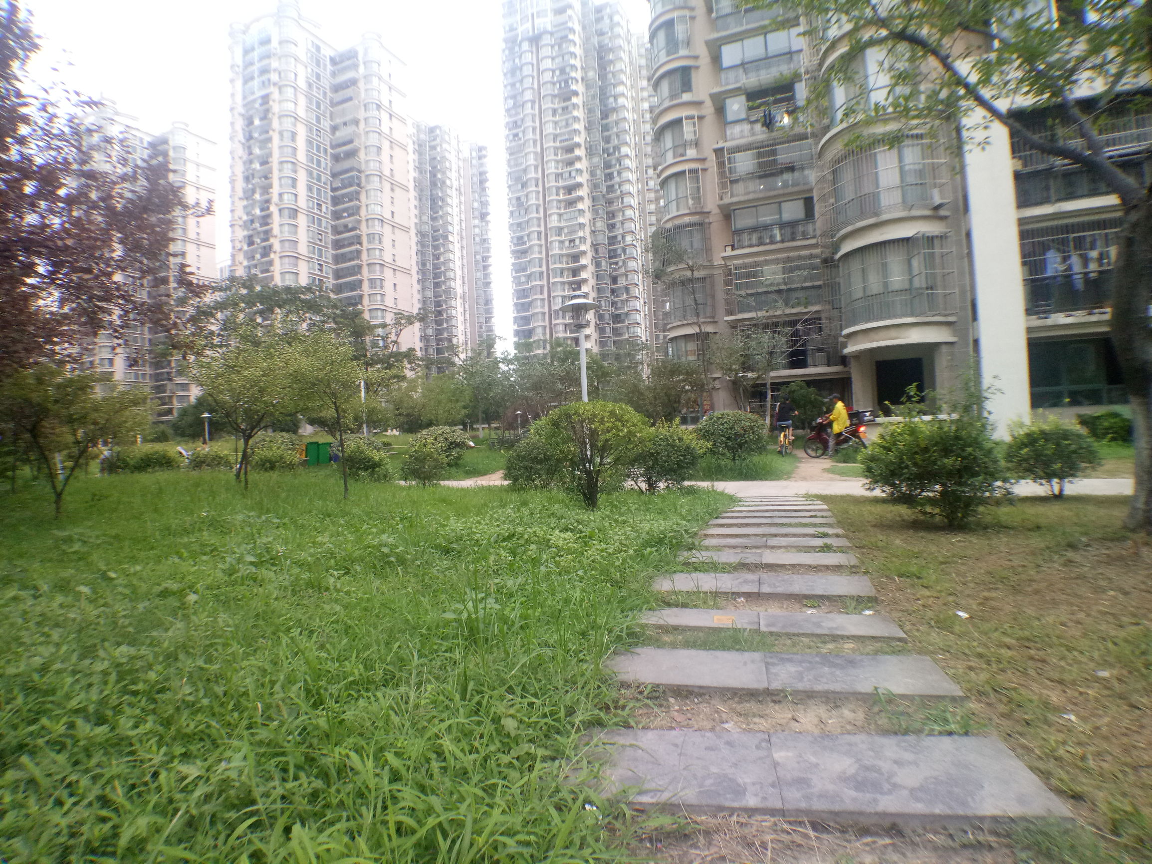 魅族手机拍照差,魅族17的拍照为啥很差