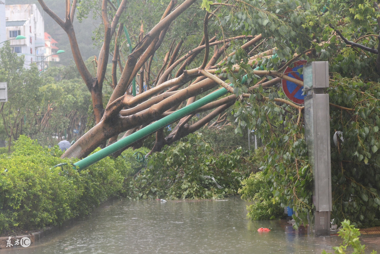天鸽台风在什么地方登陆,天鸽台风在哪里登陆