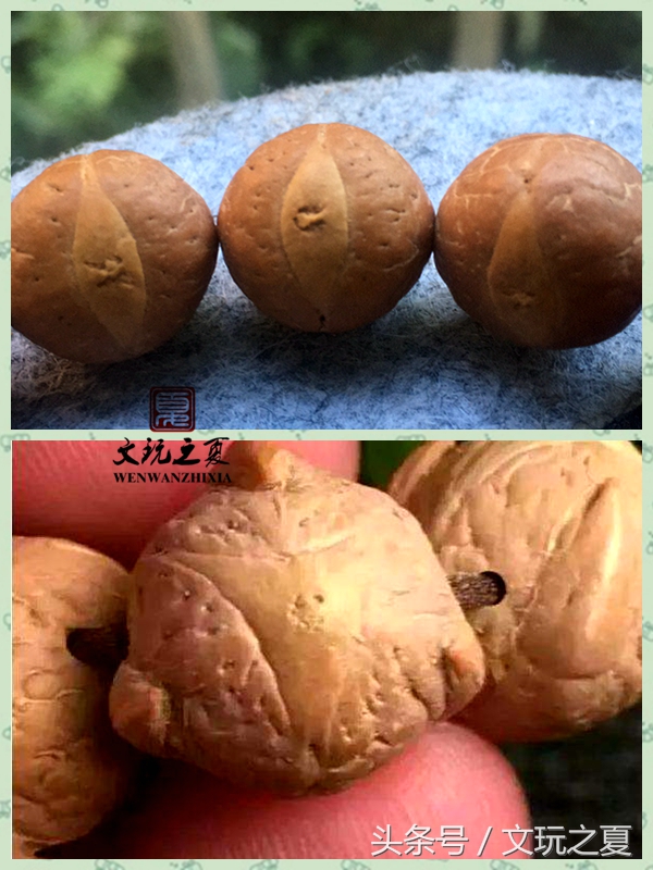 最全凤眼菩提知识,老司机解说文玩核桃