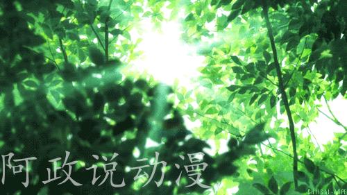 那些超感人让人又虐心的动漫,这部动漫神作曾让多少人泪崩