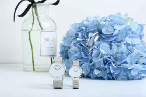 bering白色手表,bering白令手表什么档次