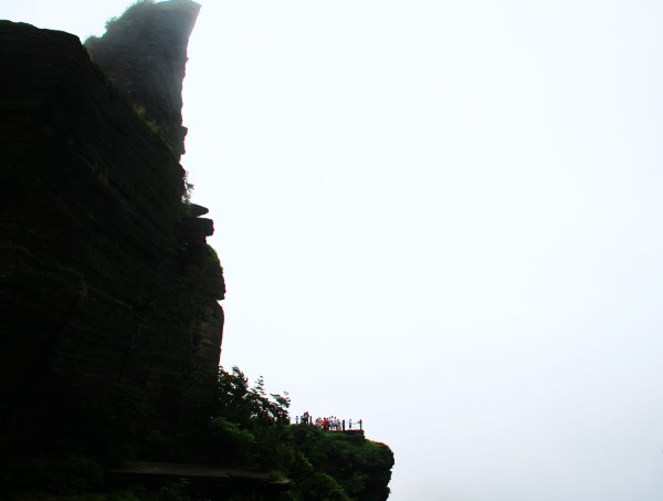 天天有人去山上采蘑菇,每天来观看的游客上万人
