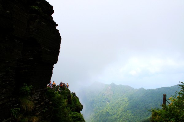 天天有人去山上采蘑菇,每天来观看的游客上万人