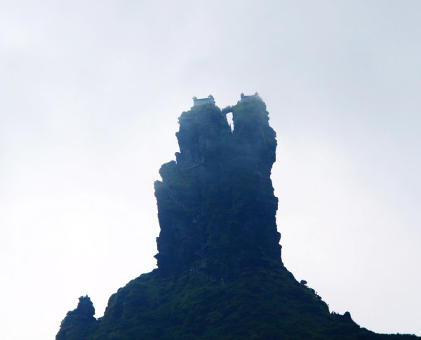 天天有人去山上采蘑菇,每天来观看的游客上万人