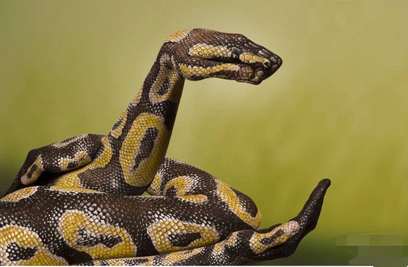 这才是艺术视觉效果,这才是真正的艺术美