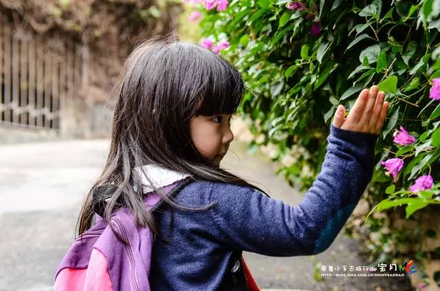 适合亲子旅行的海岛,亲子游玩的海边一日游