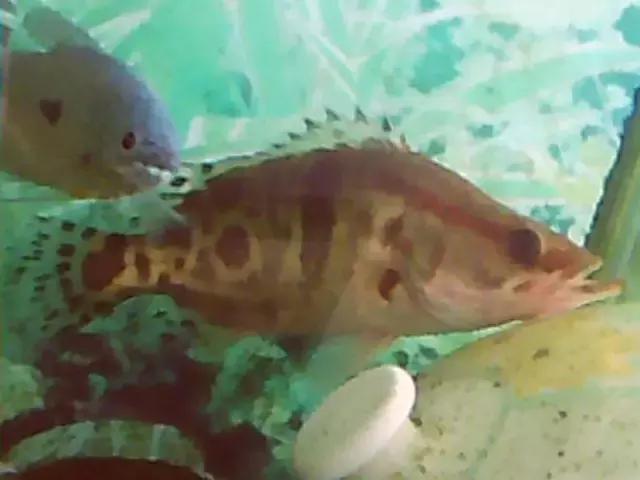 九江不得不去的地方,在九江好玩的地方不用钱