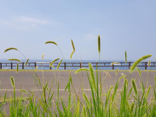 三星note8有双摄手机吗,三星note8还值不值得买