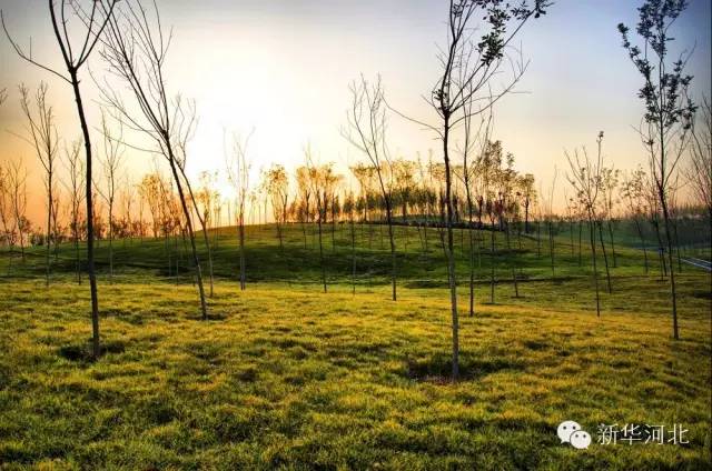 这条飘扬在河北大地的锦绣玉带,真是美爆了