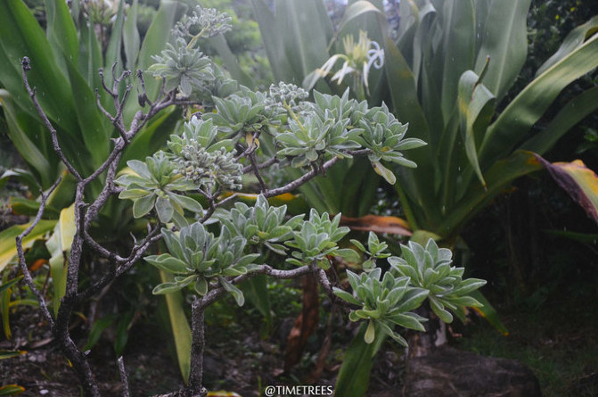 到台东旅游有哪些必去的景点,台东海岸线景点有哪些