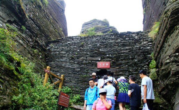 天天有人去山上采蘑菇,每天来观看的游客上万人